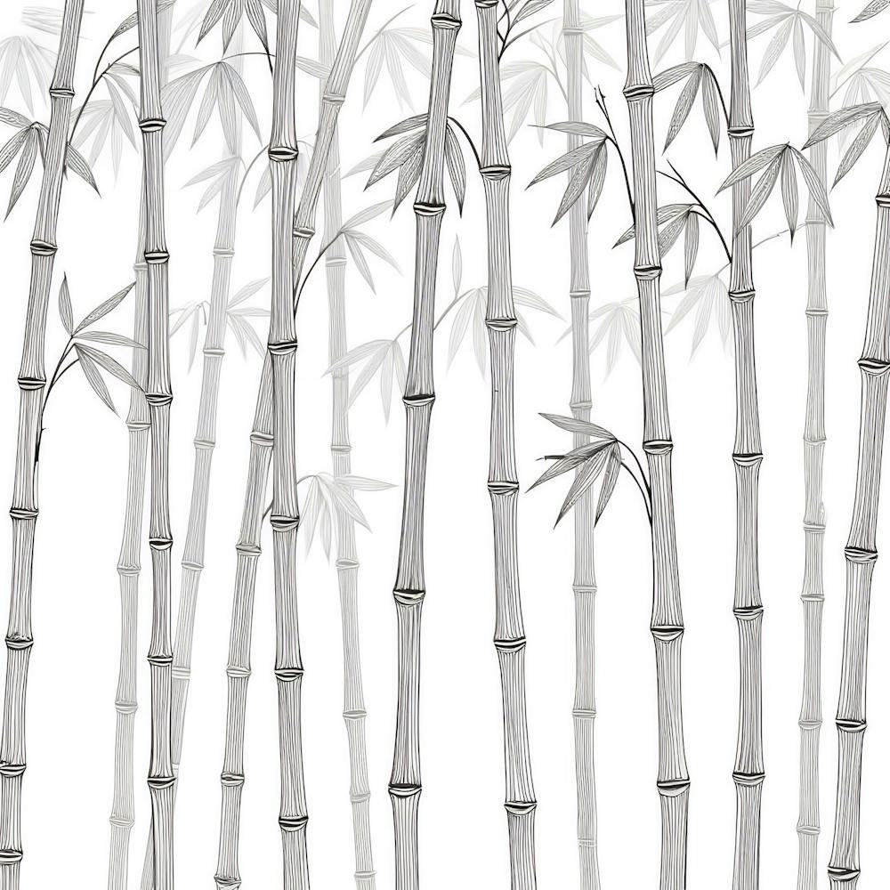 Bamboo Forest 2