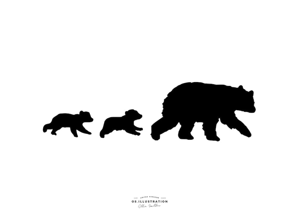 Bear Necesseties Fineline Illustration