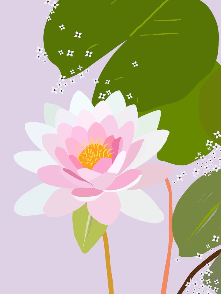 Water Lily | 06 - Pastel Purple