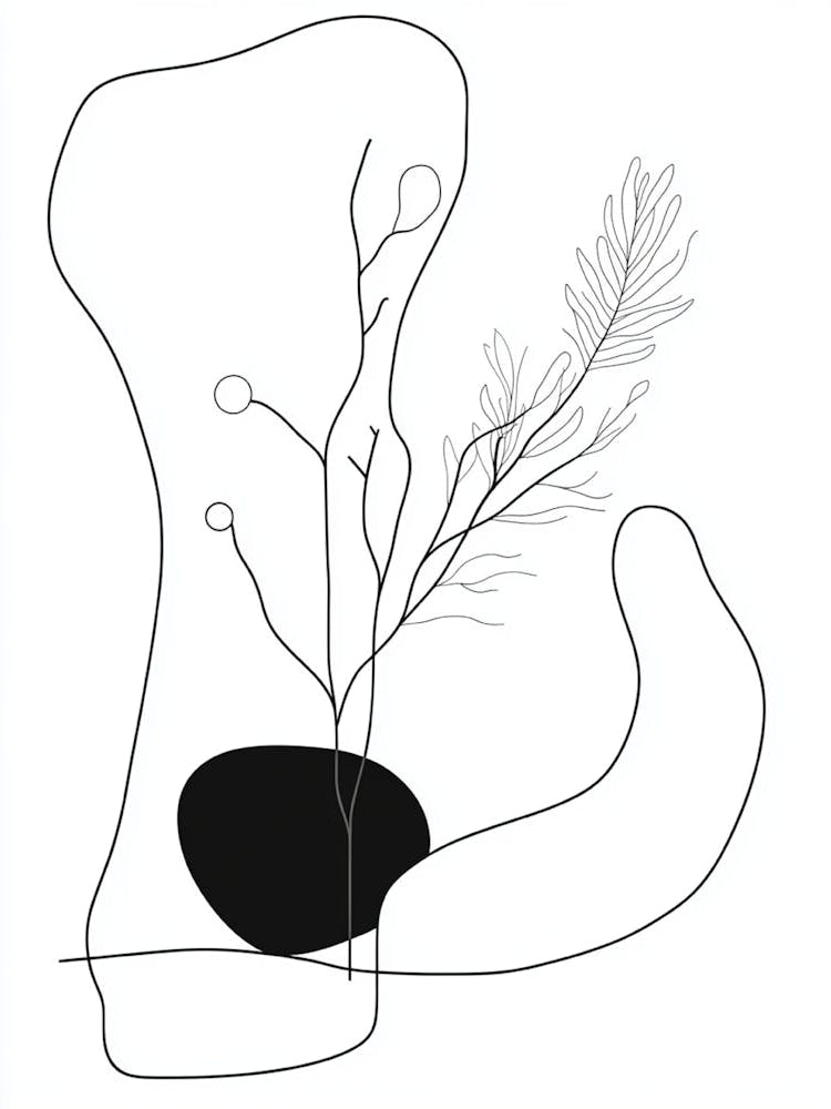 Black And White Drawing