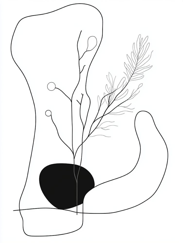 Black And White Drawing