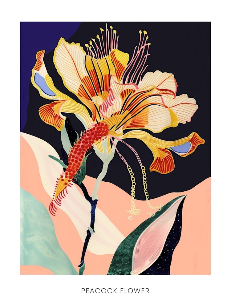 Colourful Flower Illustration Poster Peacock Flower 2