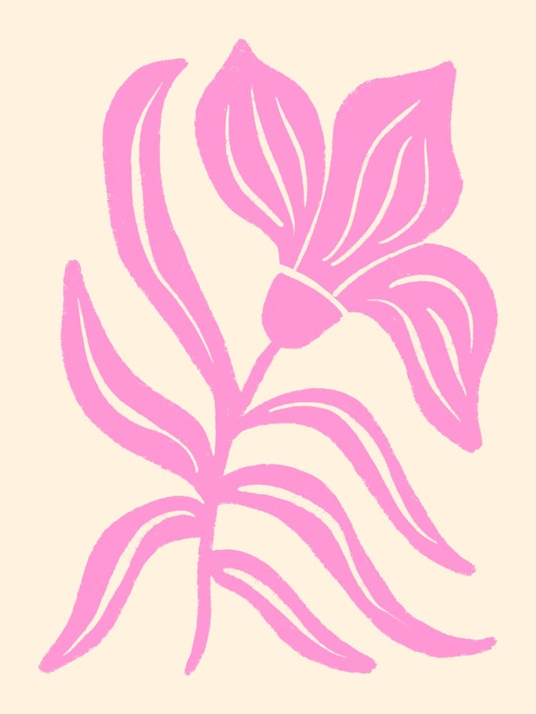 Pink Stylized Tulip