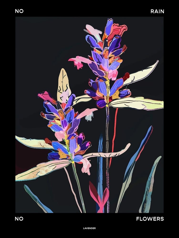 No Rain No Flowers Poster Lavender 4