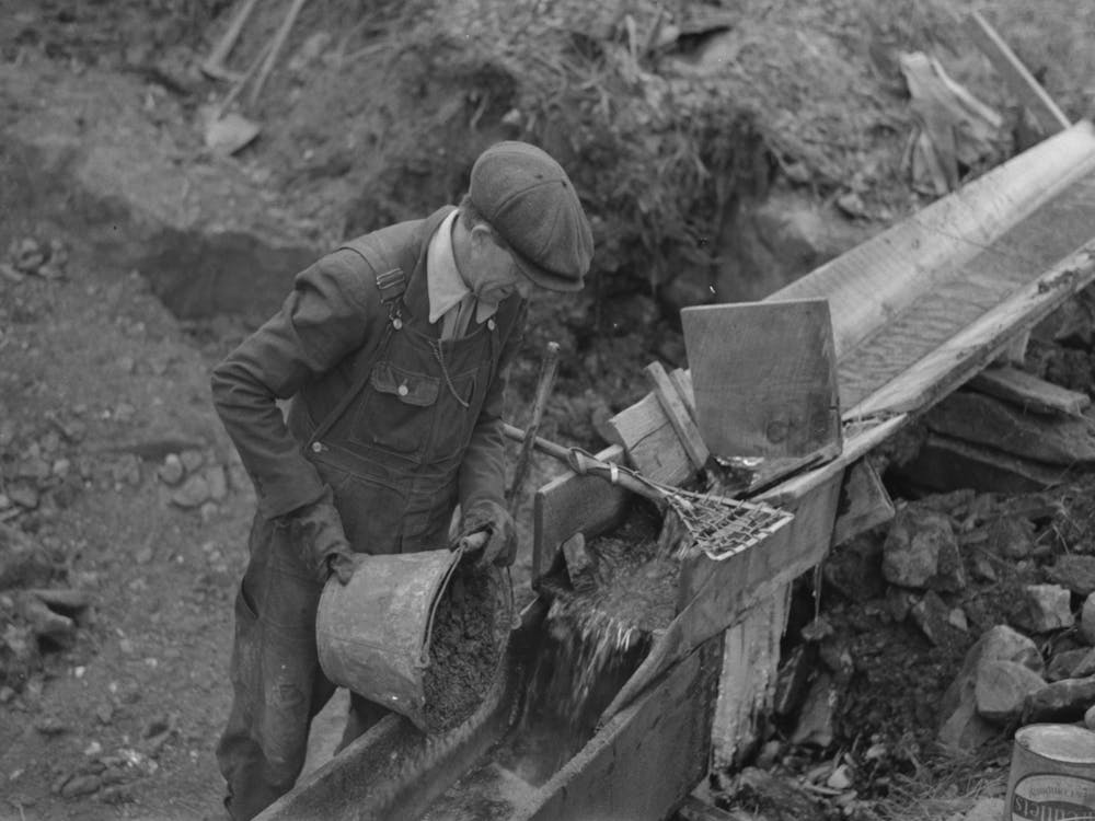 Gold Miner At Work In Sluice Box, Two Bit Creek, South Dakota By Russell Lee