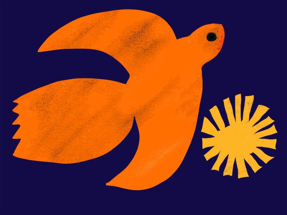 Orange Flying Bird