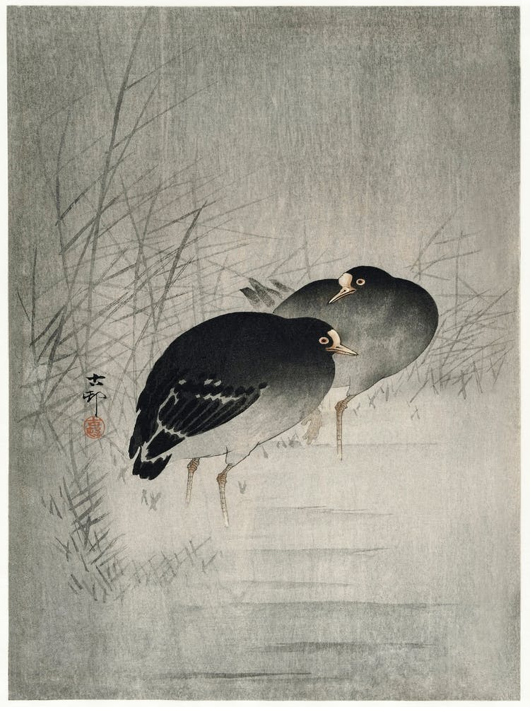 Moorhills Between Reeds (1900 1930), Ohara Koson