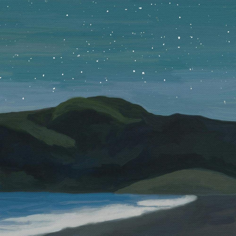 A Starry Night At The Beach Landscape