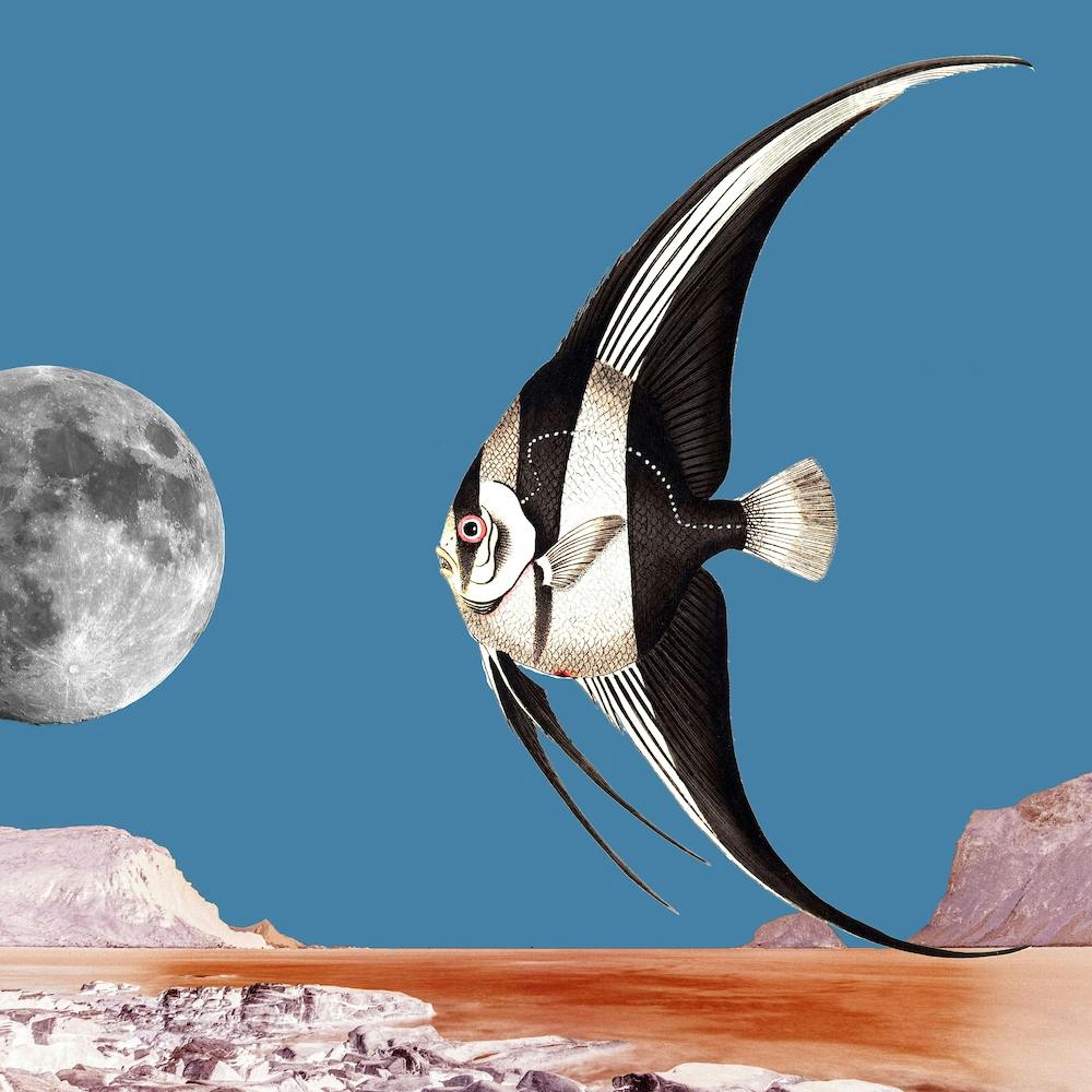 Plenty Of Fish In The Sea Blue Square