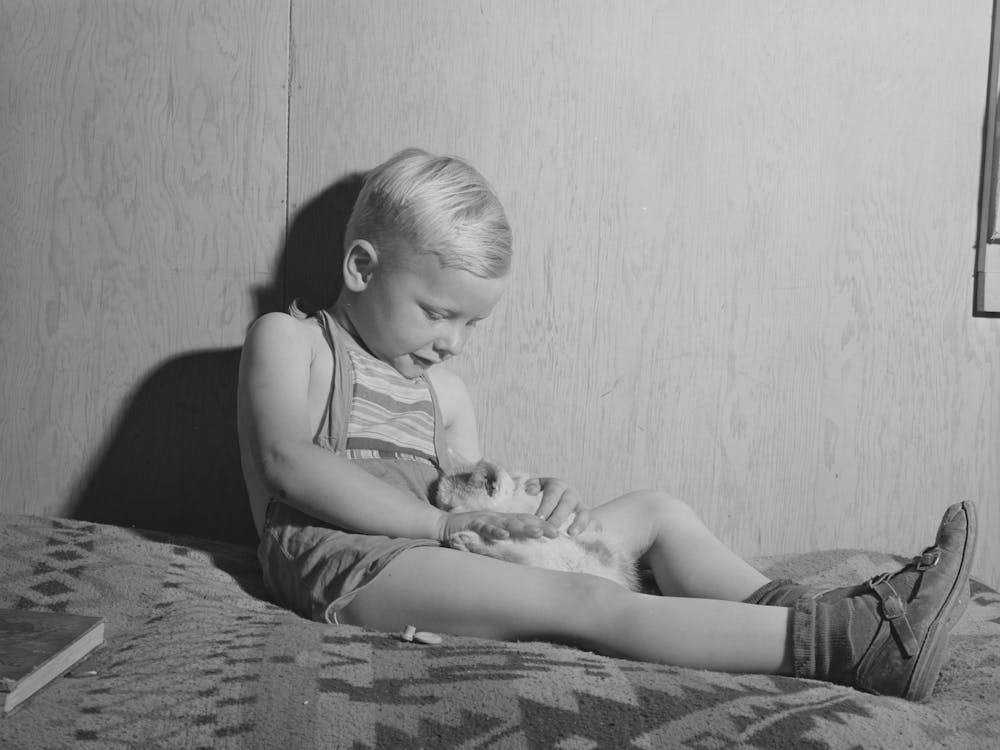 Little Boy, Son Of Farm Worker, In His Home At The Fsa (Farm Security Administration) Labor Camp, Caldwell