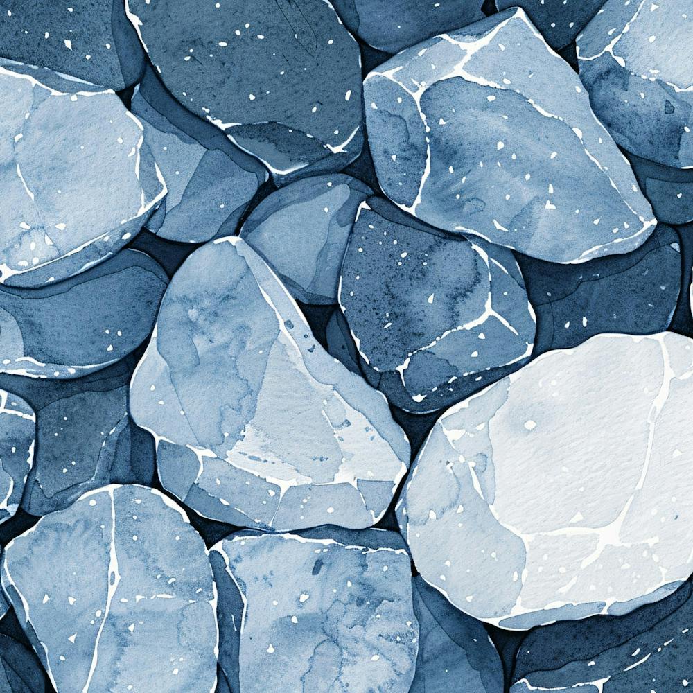 Editorial Art White Background Acrocoracoid 2