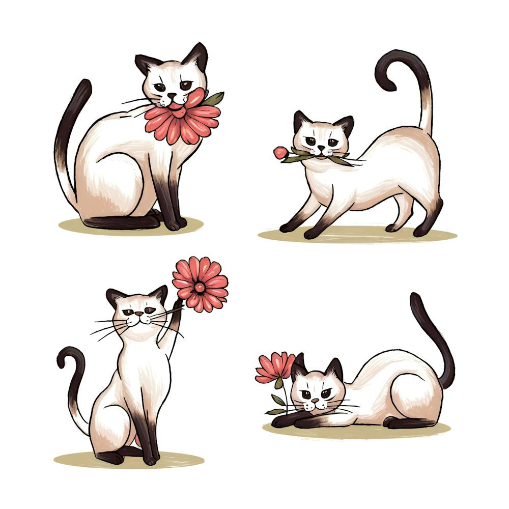 A charming and whimsical illustration of a Siamese cat in four distinct poses
