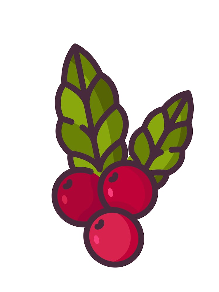Cranberry Leaf