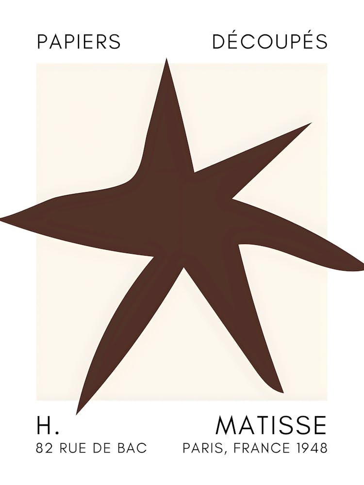 Starfish By Matisse