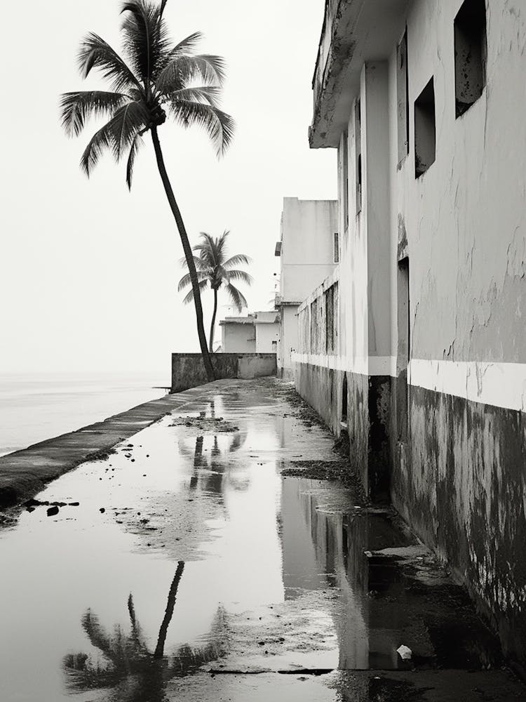 Puerto Rico, Black And White Analogue Photograph 3