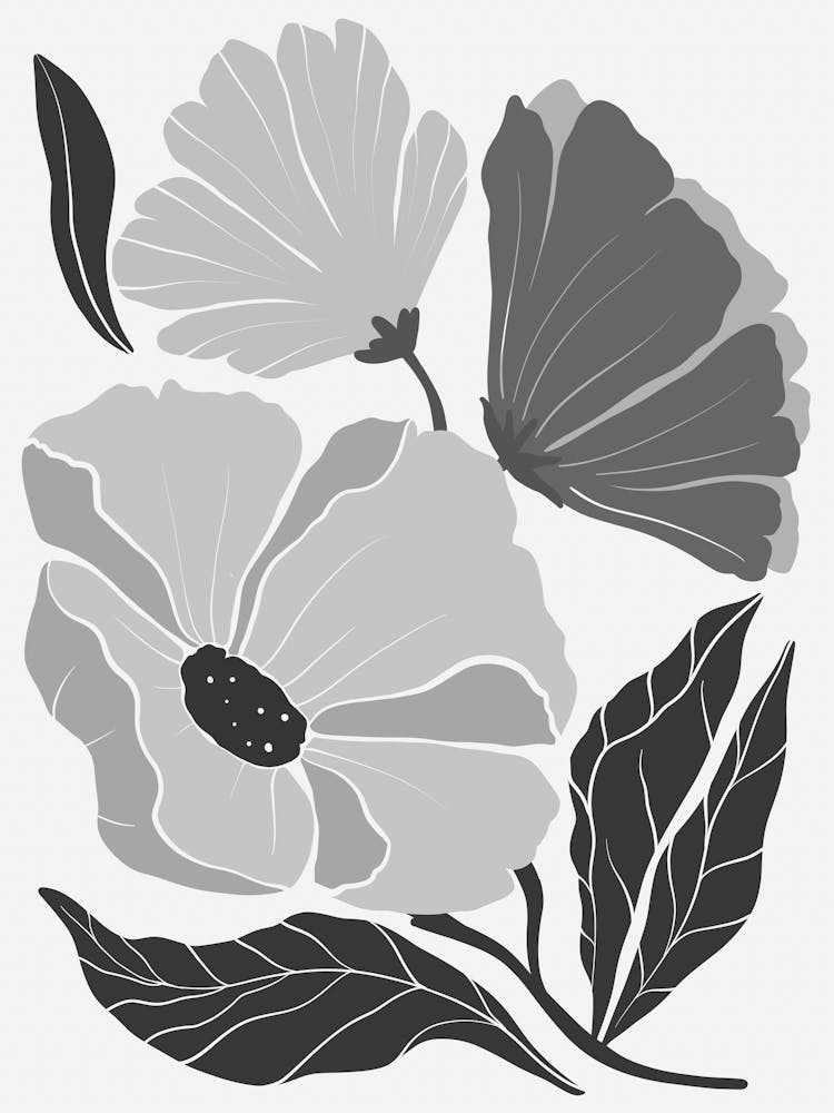 Black And White Flowers 97