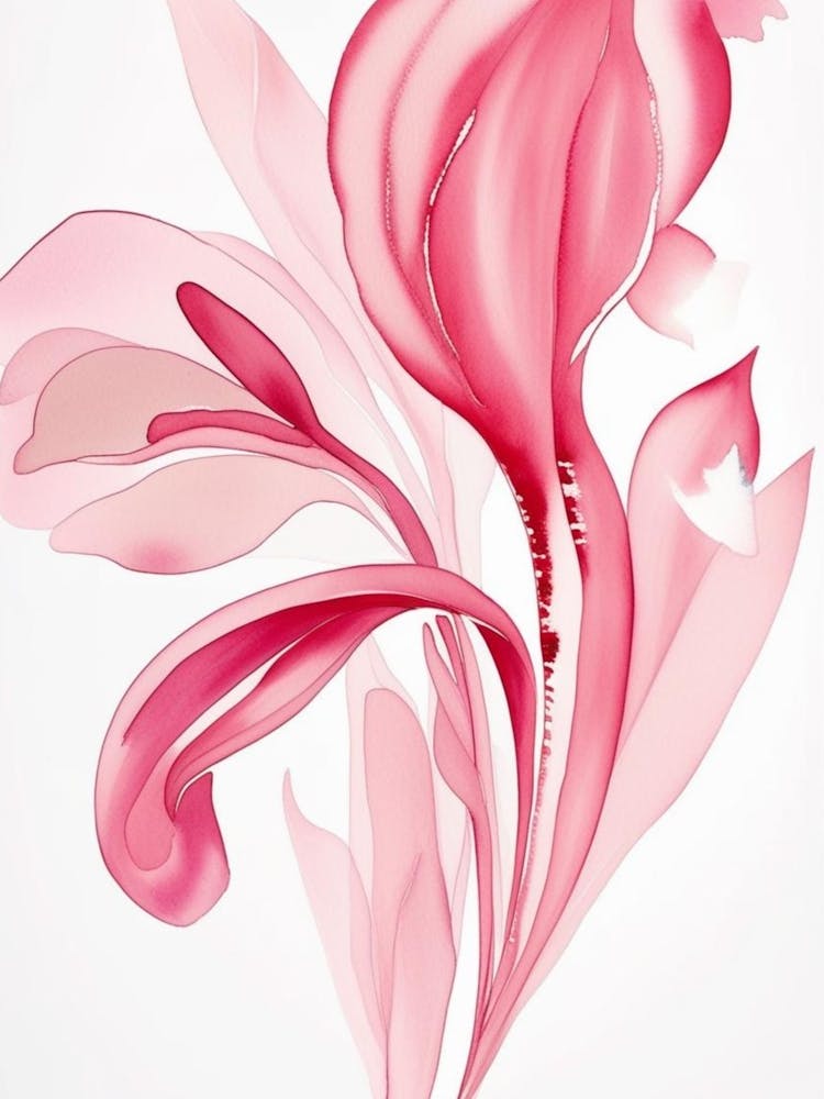 Pink Lily