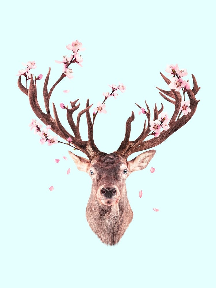 Cherry Blossom Deer