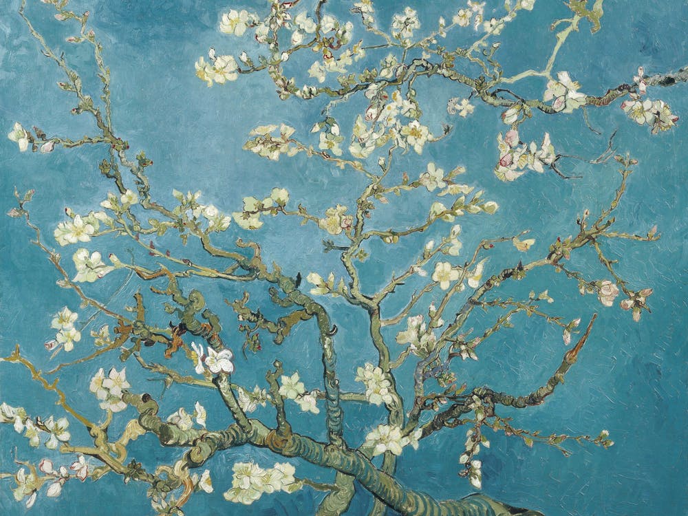 Blossoming Almond Tree