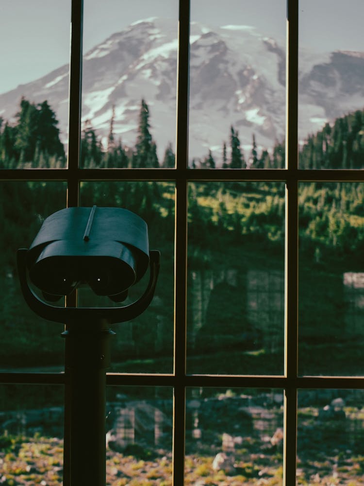 Looking at Rainier