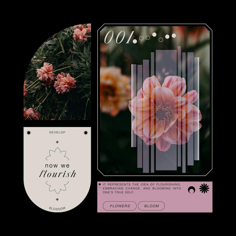 Flora 2