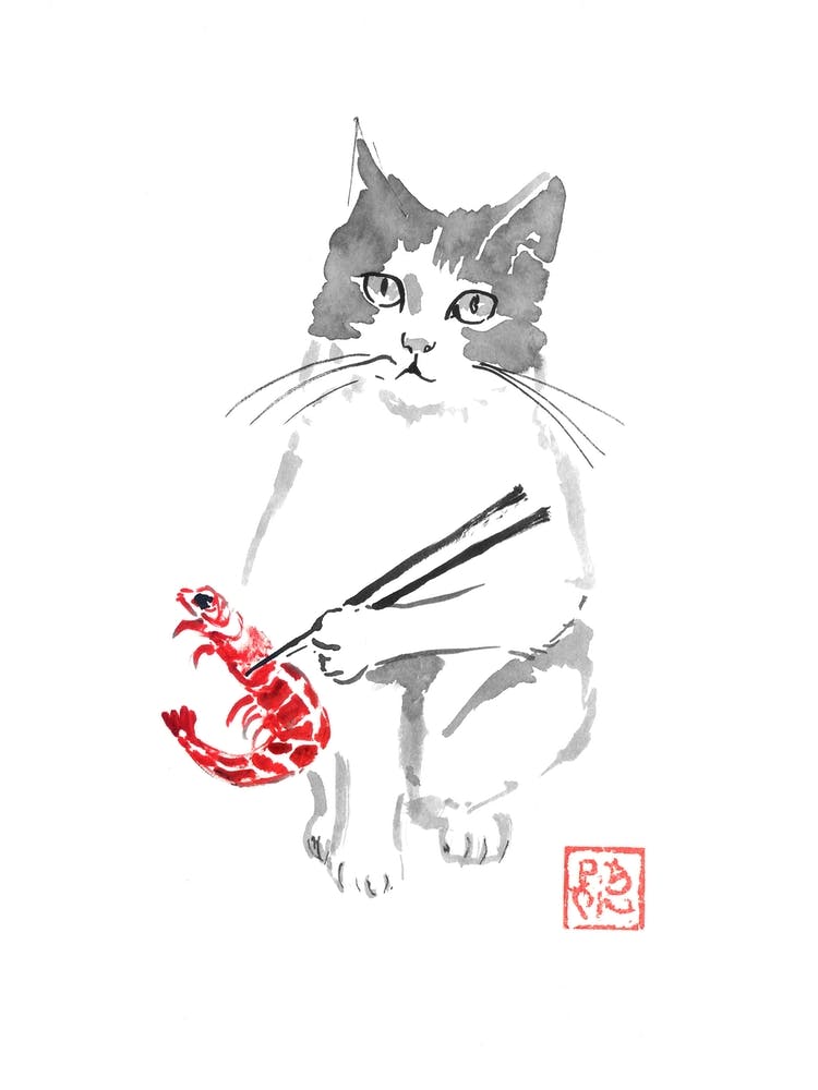 Cat And Shrimp