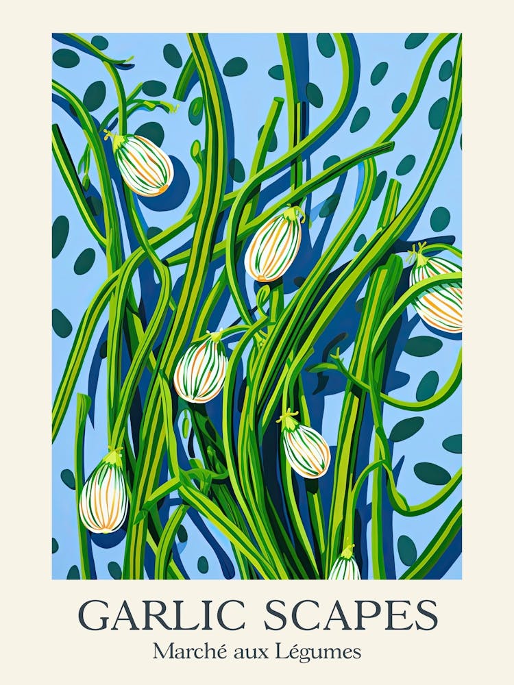 Marche Aux Legumes Garlic Scapes Summer Illustration 6
