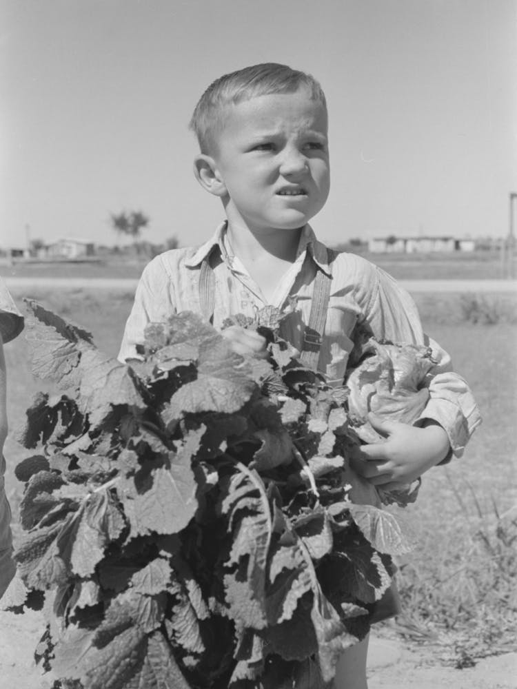 Little Boy With Sack Of Vegetables From The Community Garden At The Casa Grande Valley Farms, Pinal County 1