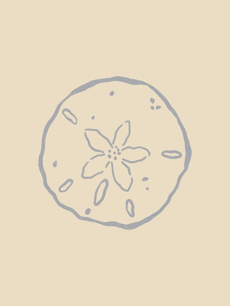 Sand Dollar