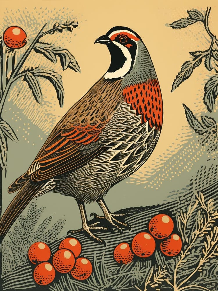 Vintage Bird Linocut Partridge 3