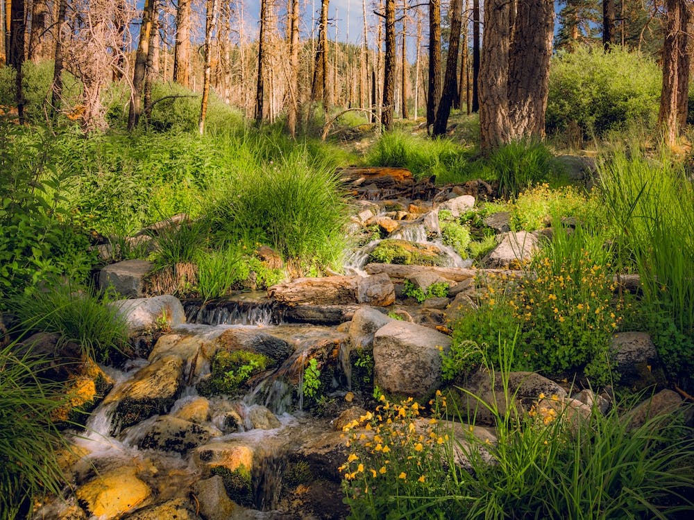 Santa Ana River