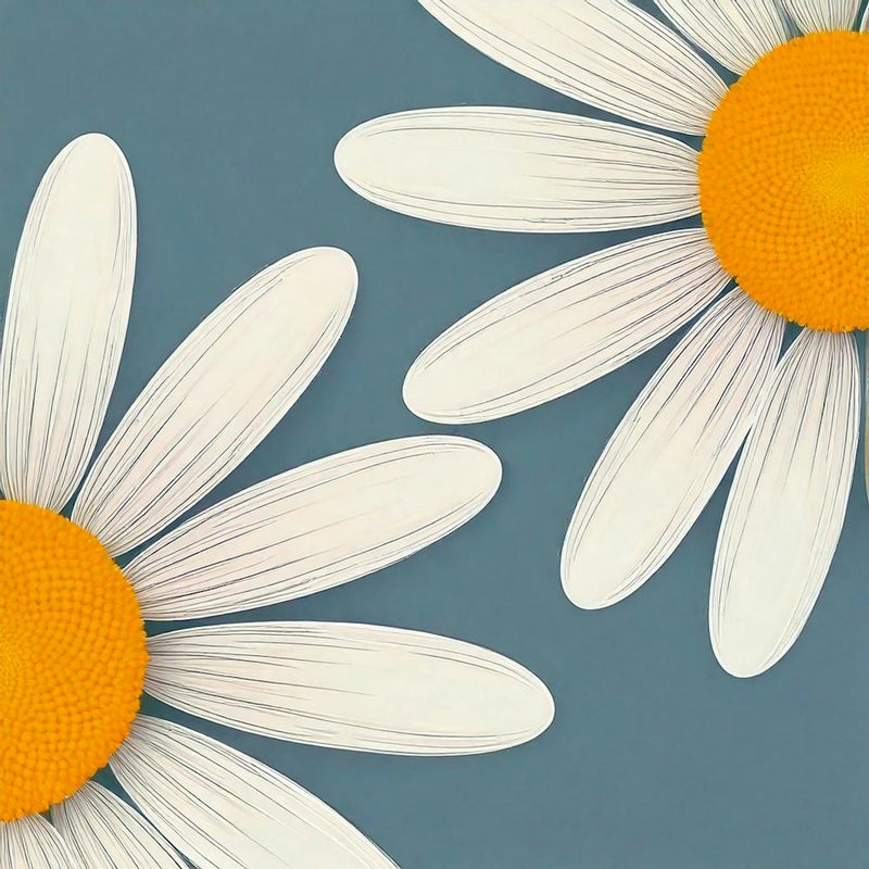 Daisy Stock Videos & Royalty-Free Footage 4