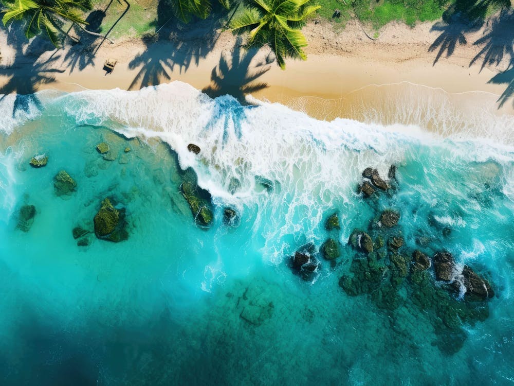 Aerial View Of A Tropical Beach 3