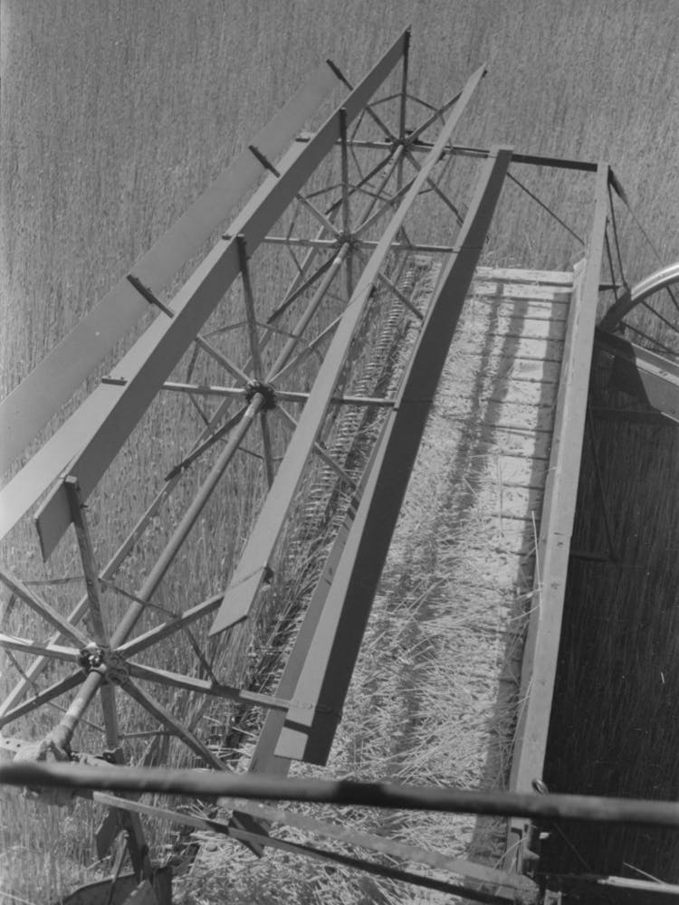 Walla Walla County, Washington