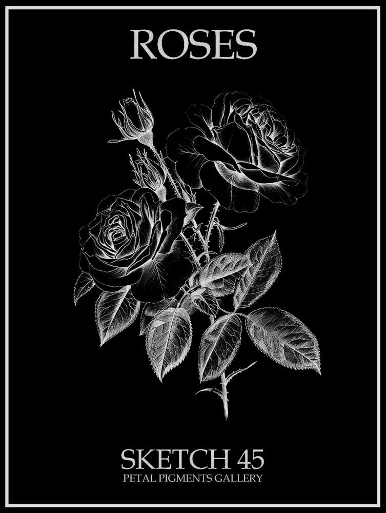 Roses Sketch 45 Poster Inverted