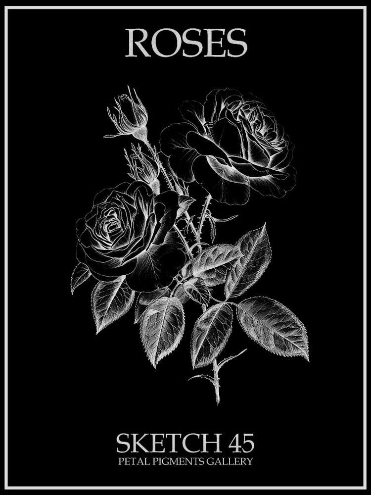 Roses Sketch 45 Poster Inverted