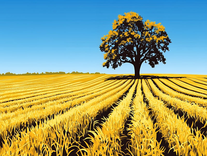 Tree In A Field