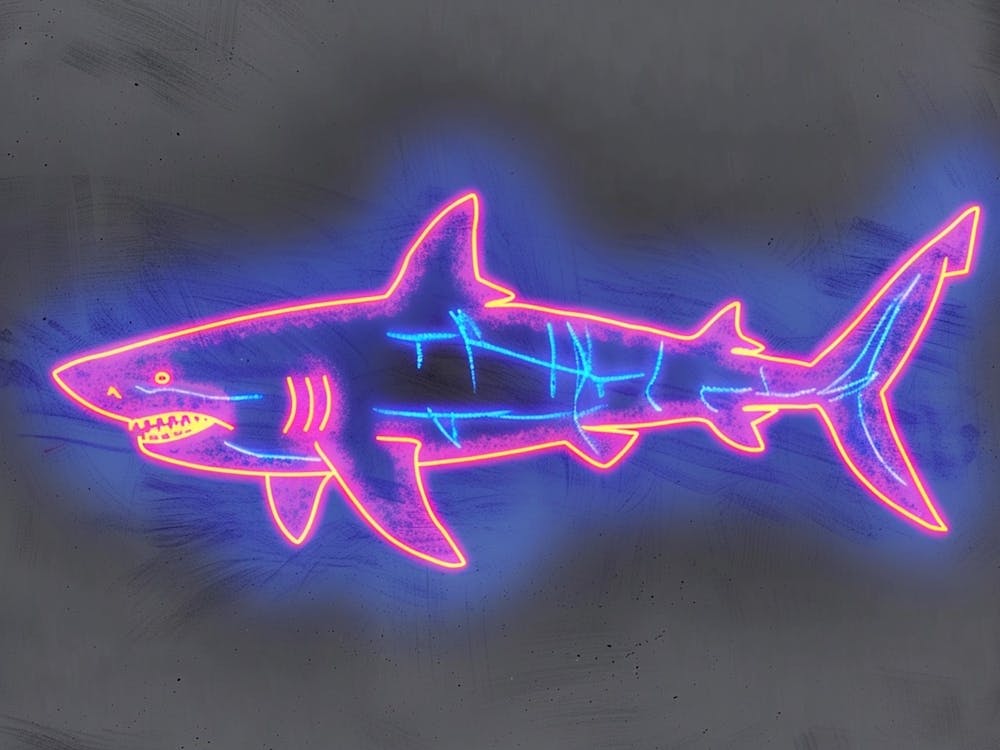 Pink Tiger Neon Shark 1