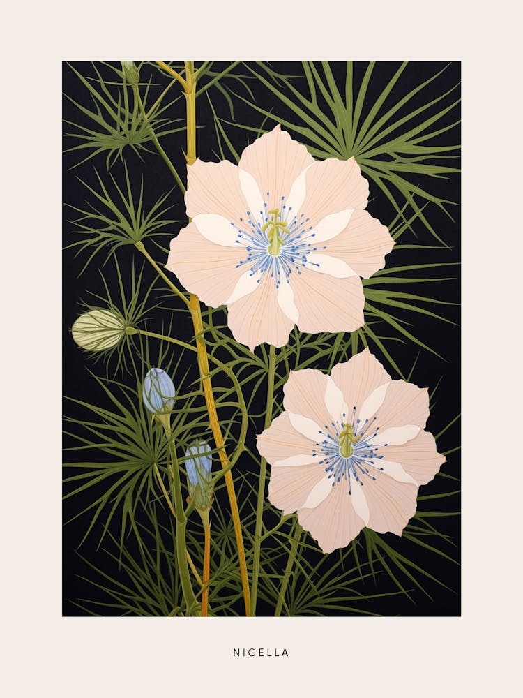 Flower Illustration Love In A Mist Nigella 7 Poster