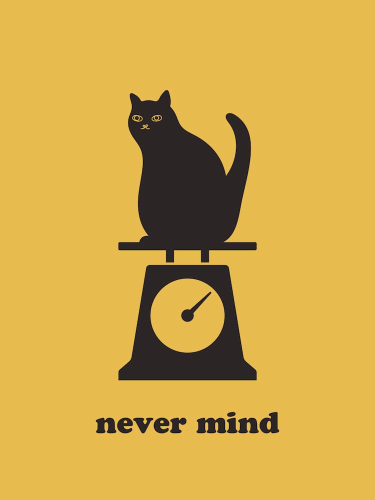 never mind cat