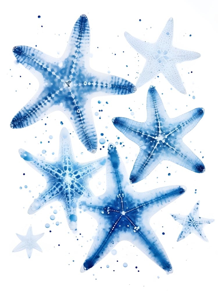 Blue Starfish 2