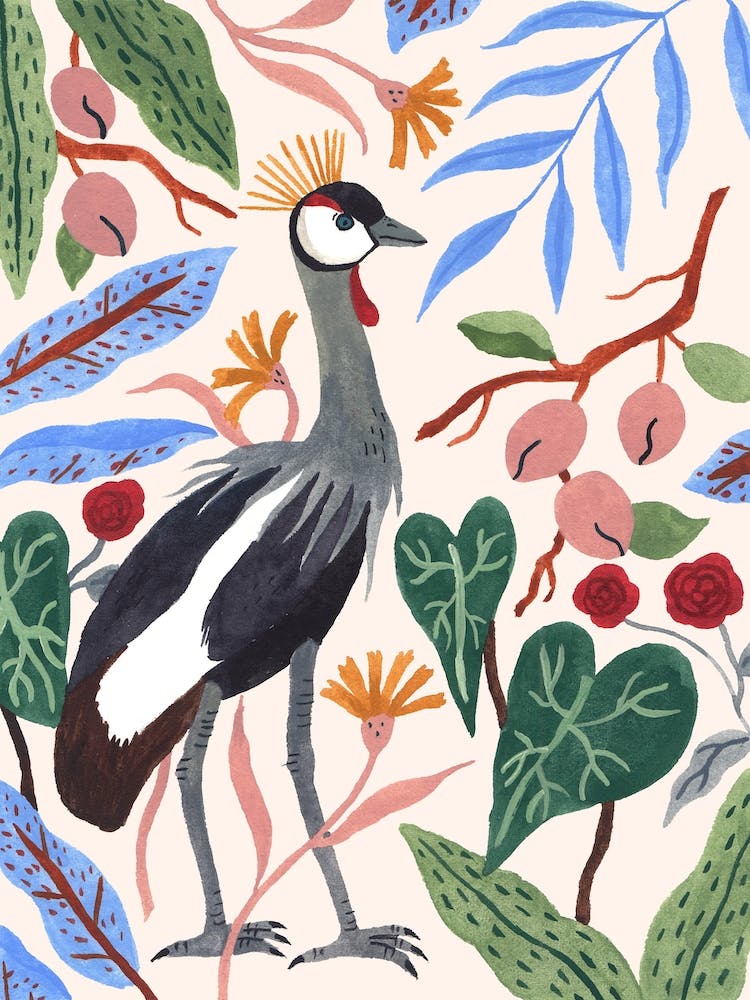 Gray Crowned Crane