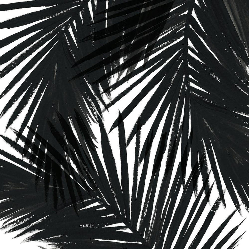 Black Palms Square