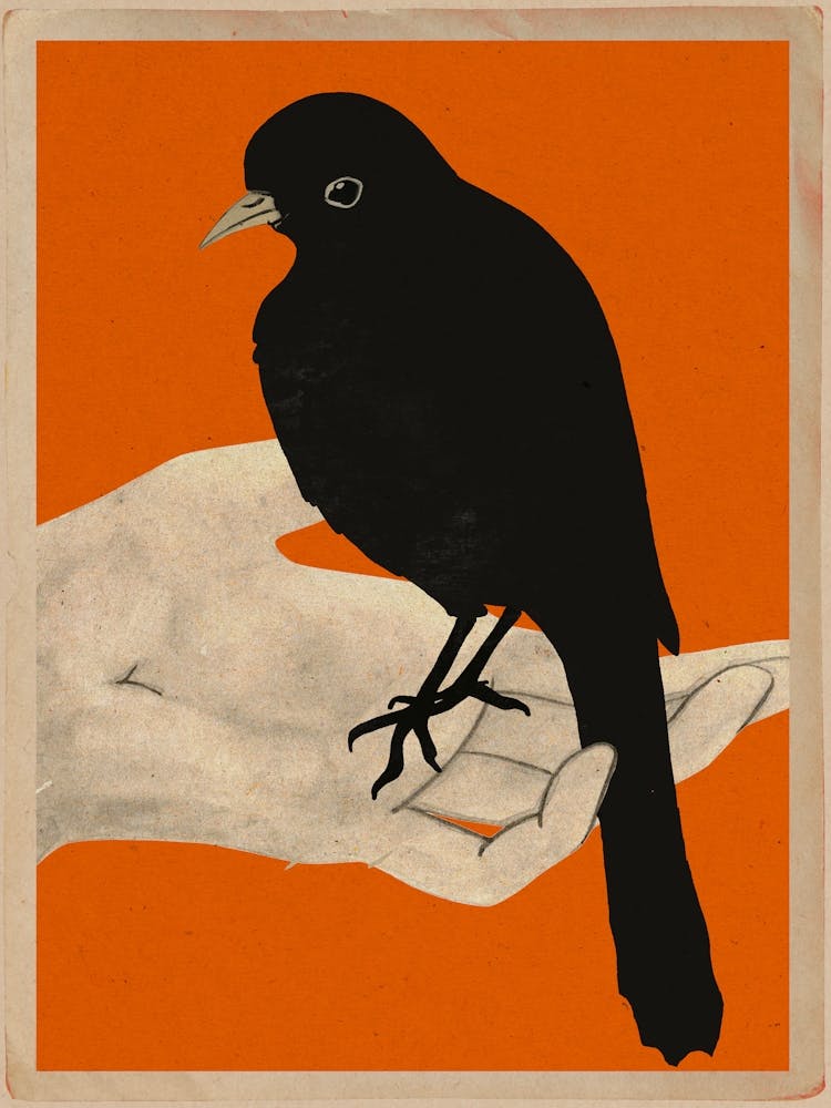 Bird In Hand 5
