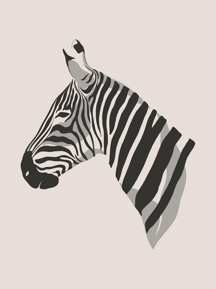 zebra