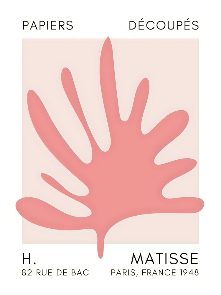 Henri Matisse Papers Decoupes