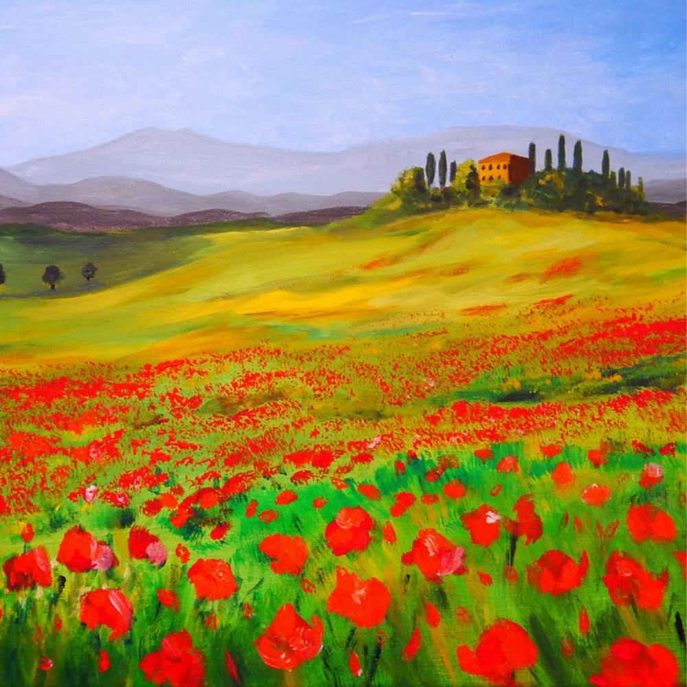 Poppies In Tuscany