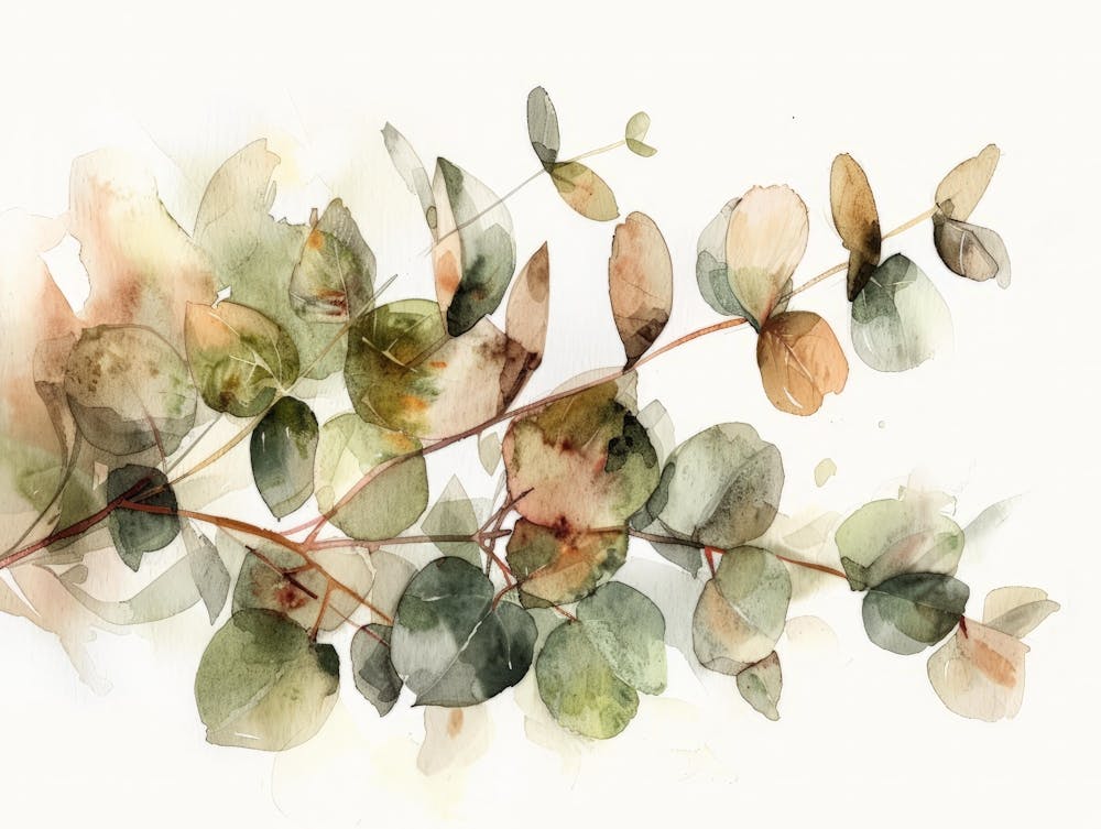 Eucalyptus Leaves 7
