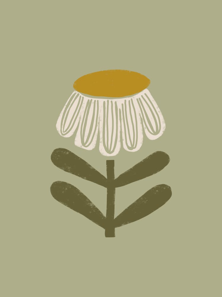 Retro Chamomile Flower on Sage