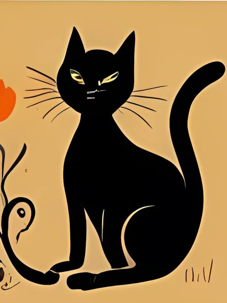 Black Cat 19